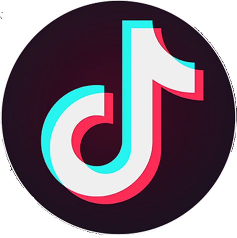 Seguici su TikTok